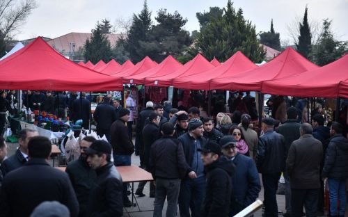 Salyan Rayonunda keçirilən Agrar Biznes Festivalı