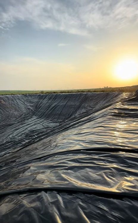 Artificial Lake Insulation in Goychay District