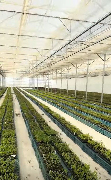 Grand Agro's Floriculture Greenhouse